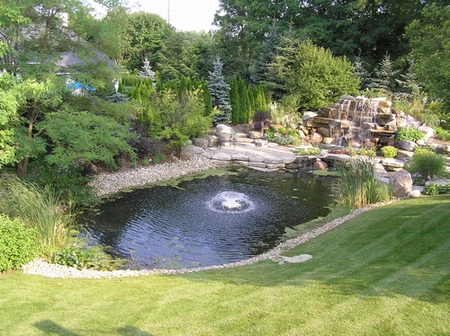 Bioretention Pond